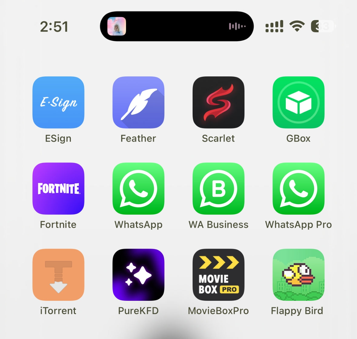 Iosrocket_features_esign-scarlet-feather-sideloading-iphone